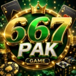 667pak Game