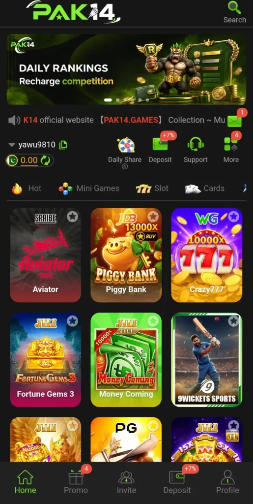 PAK14 Game