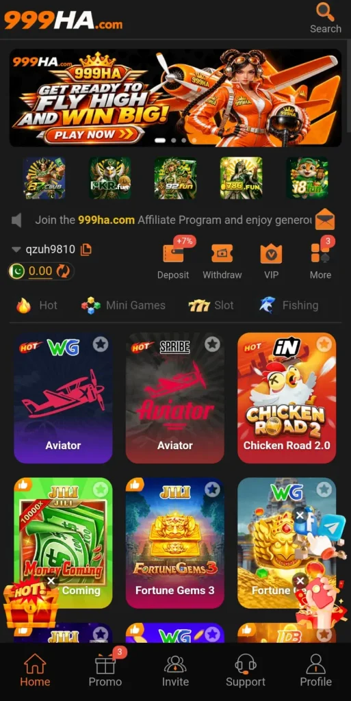 999HA Game