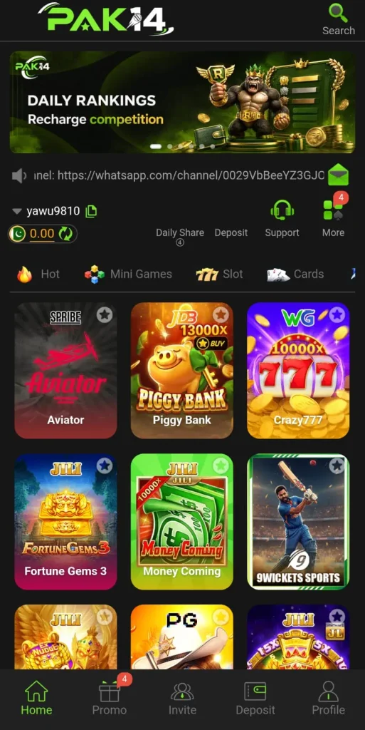 PAK14 Game