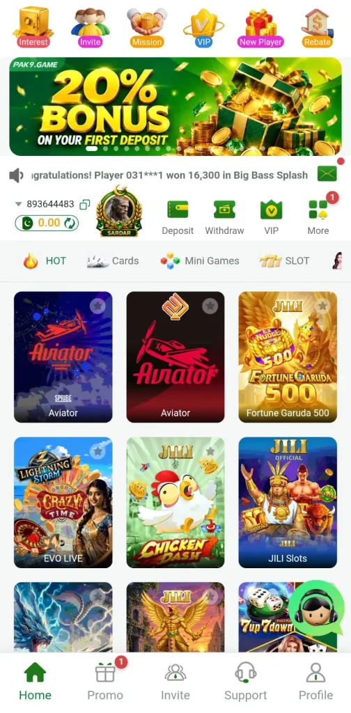 PAK9 Game